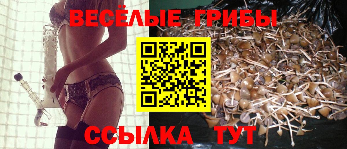 АМФЕТАМИН Большой Камень