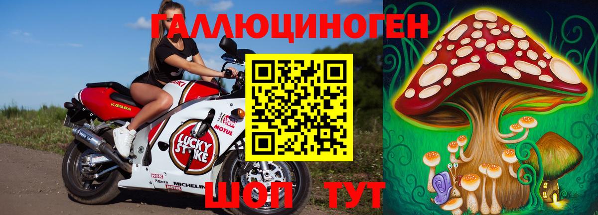 Галлюциногенные грибы Cubensis Большой Камень